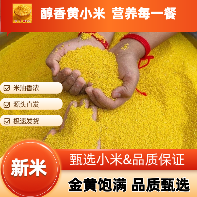 精品古湖桑干品牌黄小米支持（一件代发】电商供货品质保证