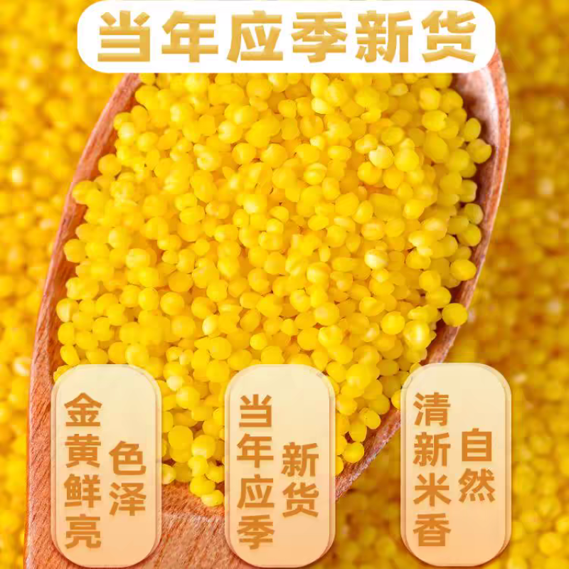 精品古湖桑干品牌黄小米支持（一件代发】电商供货品质保证
