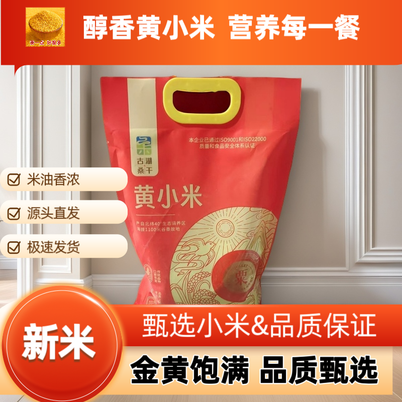 精品古湖桑干品牌黄小米支持（一件代发】电商供货品质保证