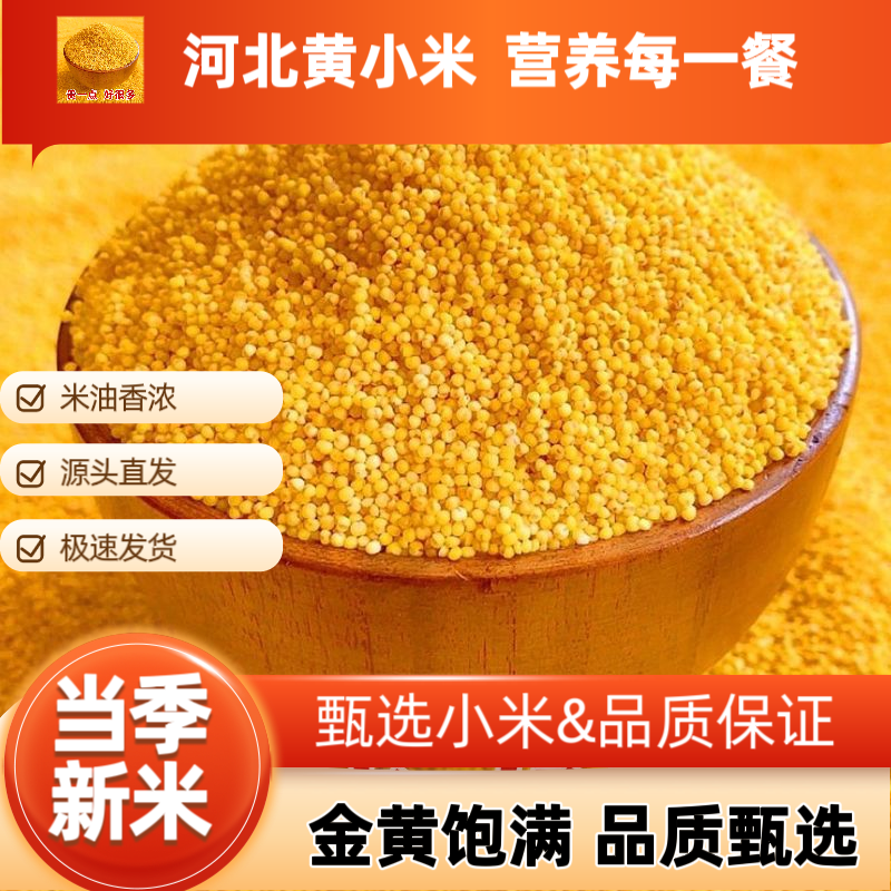 精品古湖桑干品牌黄小米支持（一件代发】电商供货品质保证