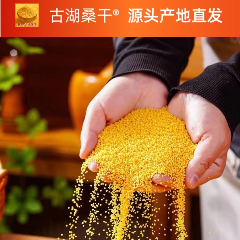 精品古湖桑干品牌黄小米支持（一件代发】电商供货品质保证