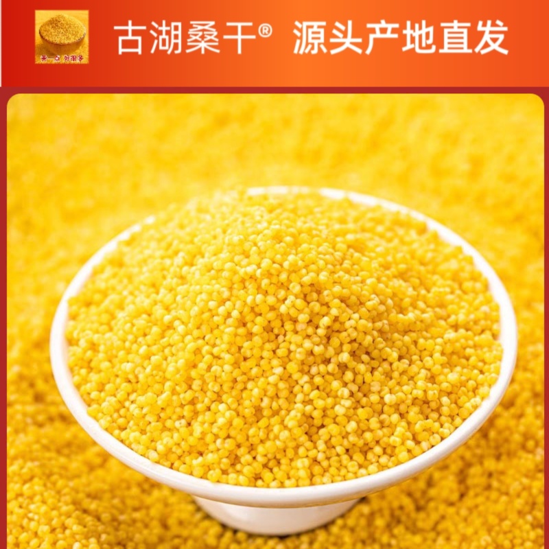 精品古湖桑干品牌黄小米支持（一件代发】电商供货品质保证