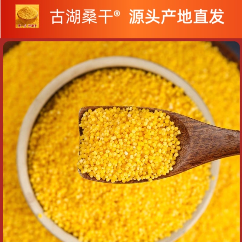 精品古湖桑干品牌黄小米支持（一件代发】电商供货品质保证