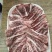 和牛牛肋条高端雪花牛肉烧烤烤肉烧鸟食材大量供应
