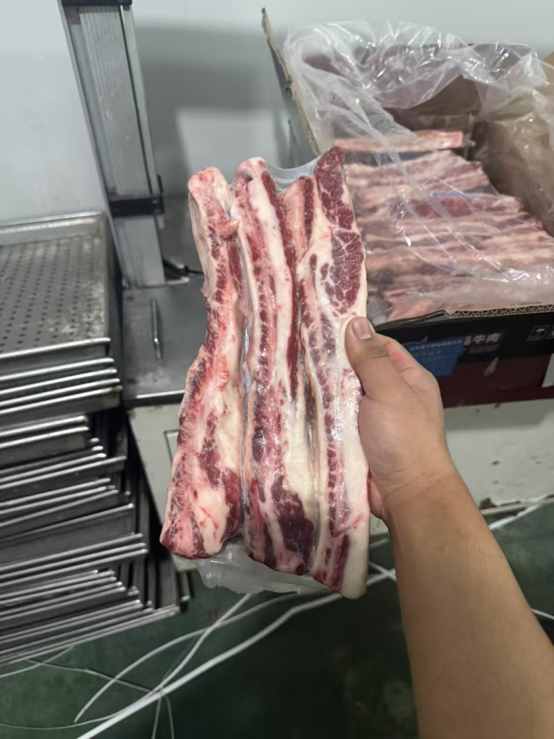 和牛牛肋条高端雪花牛肉烧烤烤肉烧鸟食材大量供应