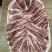 和牛牛肋条高端雪花牛肉烧烤烤肉烧鸟食材大量供应