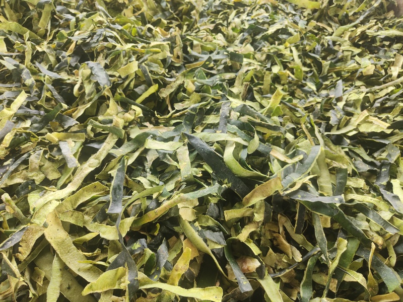 冬瓜皮全绿精品手选饮片级烘干晒干湖北产地大量现货欢迎订购