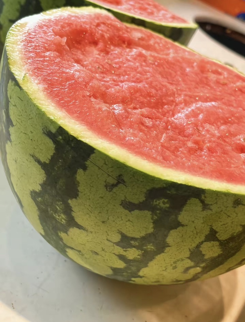 无籽美都麒麟瓜