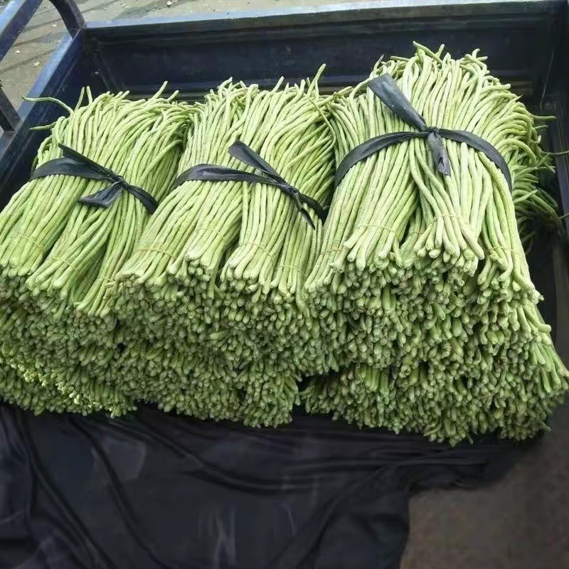 长豆角青条豆角缸豆产地看货论价保质保量欢迎订购