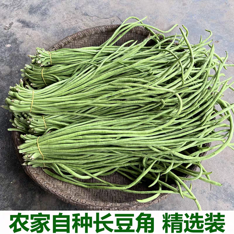 长豆角青条豆角缸豆产地看货论价保质保量欢迎订购