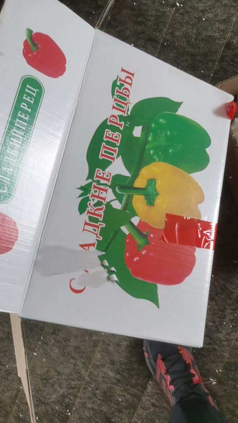 【红彩椒】出口**，现採现包装，产地直供，高品回头客多。
