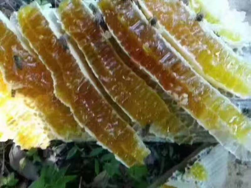 土蜂蜜，农村自产高山土蜂蜜，零售批发，各大平台一件代发均