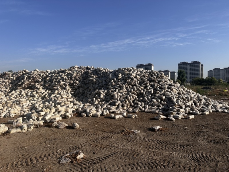 平菇废料，大量供应