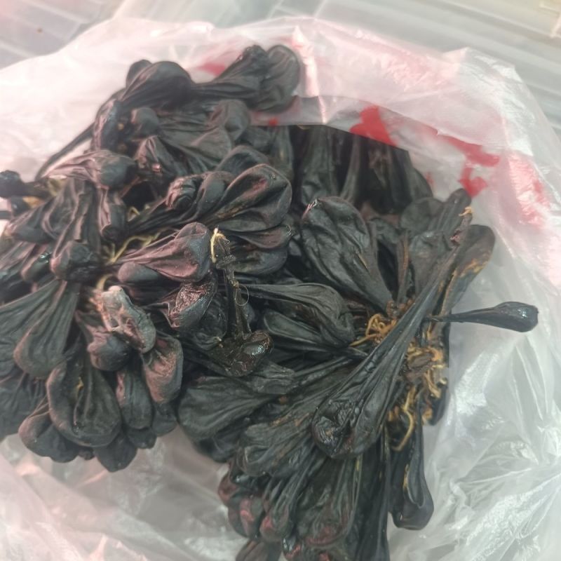 猪胆苦胆胆干干猪风干中药材干土晾晒整个胆汁自然胆囊包邮晒