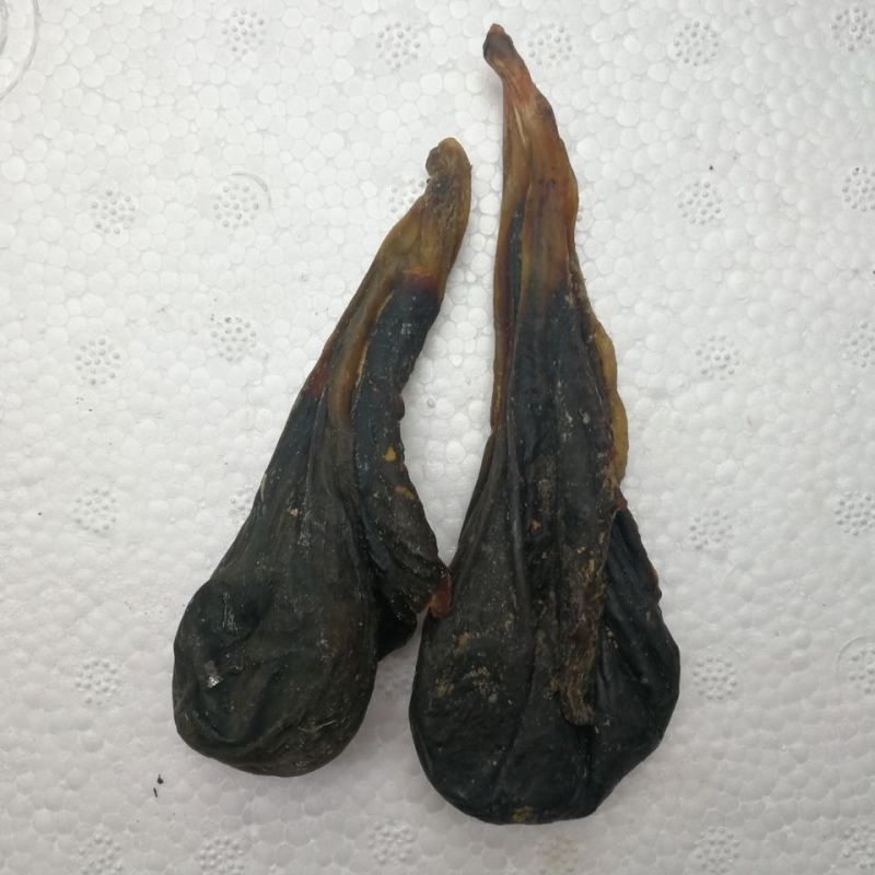 猪胆苦胆胆干干猪风干中药材干土晾晒整个胆汁自然胆囊包邮晒