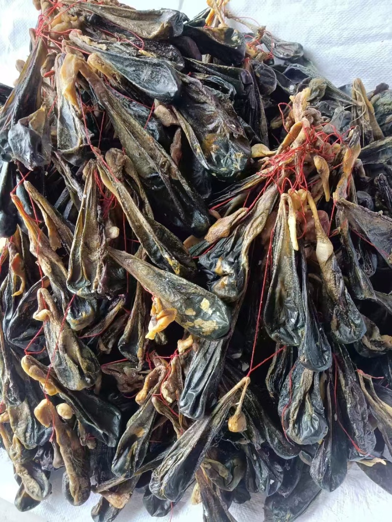 猪胆苦胆胆干干猪风干中药材干土晾晒整个胆汁自然胆囊包邮晒