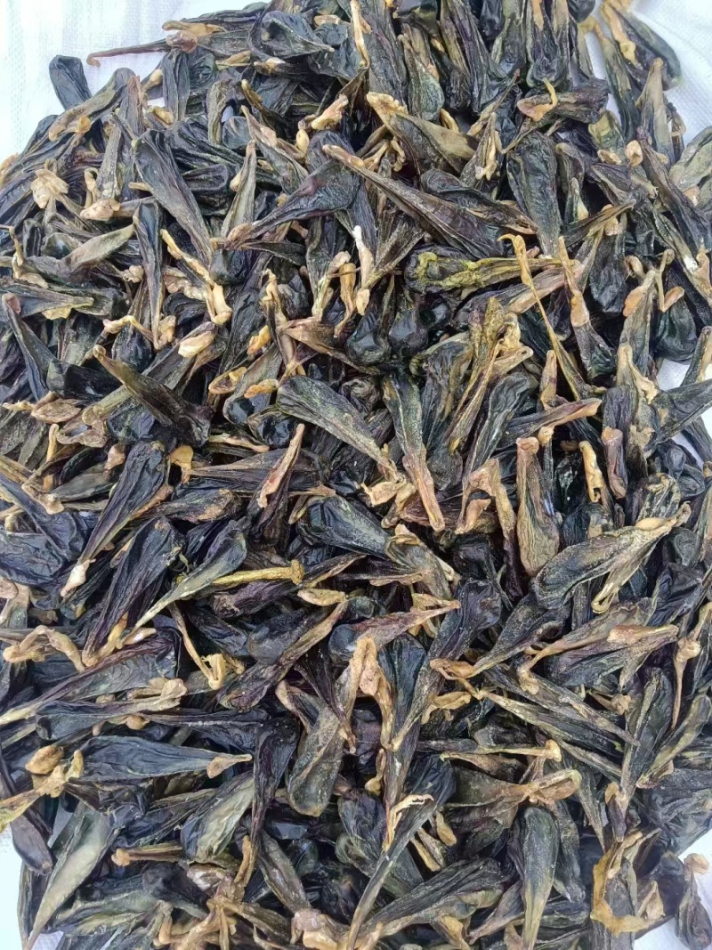 猪胆苦胆胆干干猪风干中药材干土晾晒整个胆汁自然胆囊包邮晒