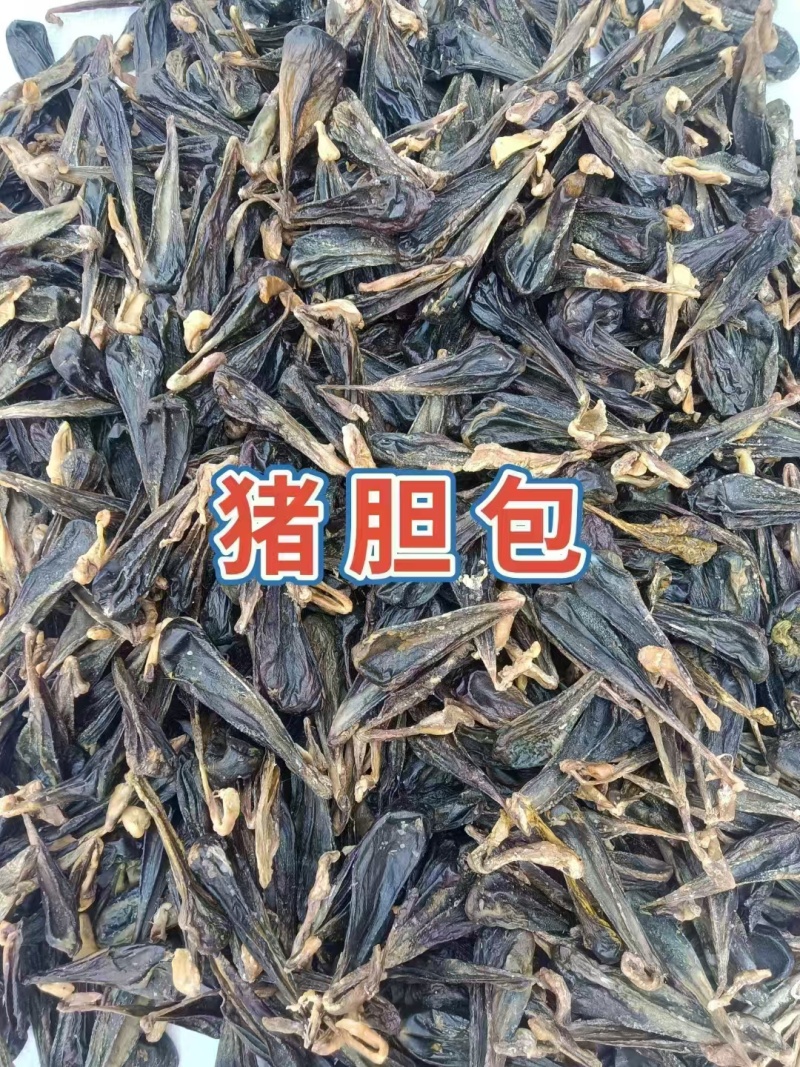 猪胆苦胆胆干干猪风干中药材干土晾晒整个胆汁自然胆囊包邮晒