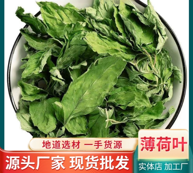 薄荷叶批发优质薄荷叶色泽好量大价优可供大货