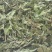 薄荷叶批发优质薄荷叶色泽好量大价优可供大货