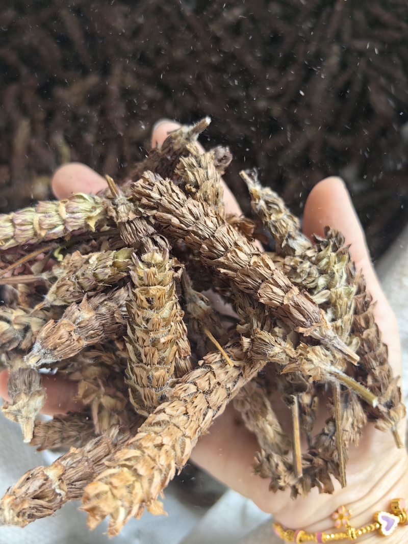 夏枯球批发优质夏枯球规格齐全产地货源可供大货