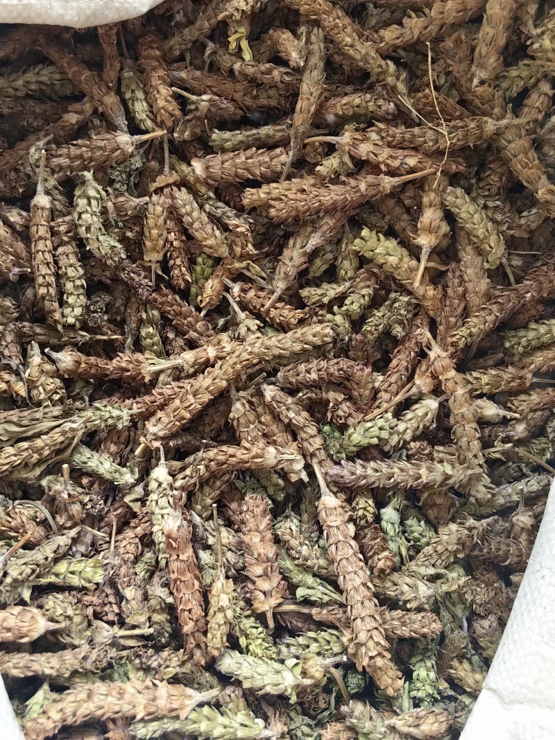 夏枯球批发优质夏枯球规格齐全产地货源可供大货