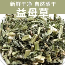 益母草批发新货益母草产地一手货源量大价优货源充足