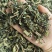 益母草批发新货益母草产地一手货源量大价优货源充足