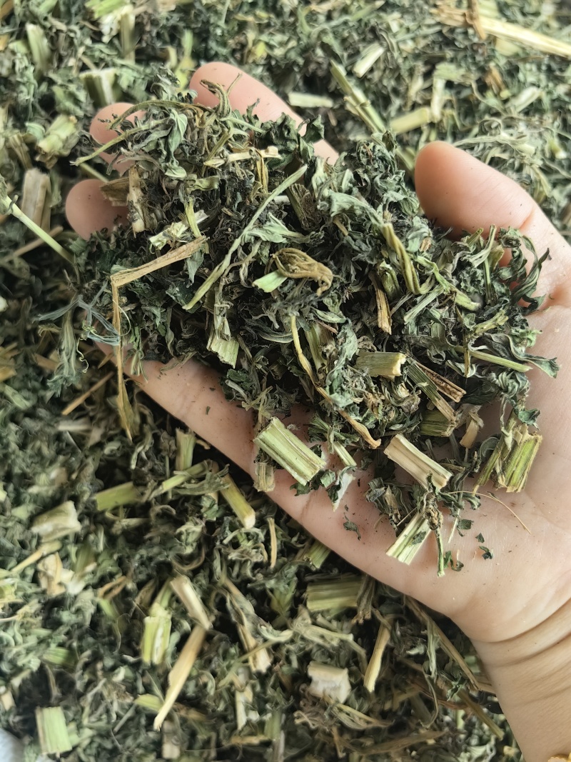 益母草批发新货益母草产地一手货源量大价优货源充足