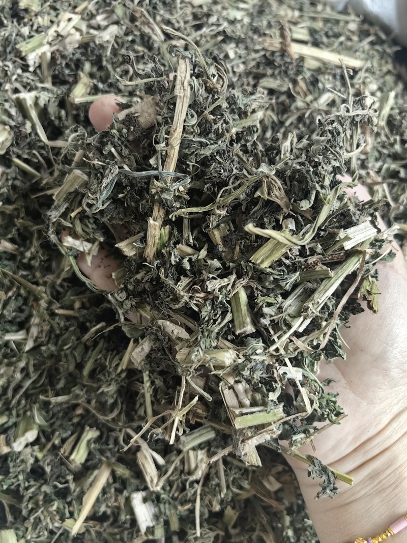 益母草批发新货益母草产地一手货源量大价优货源充足