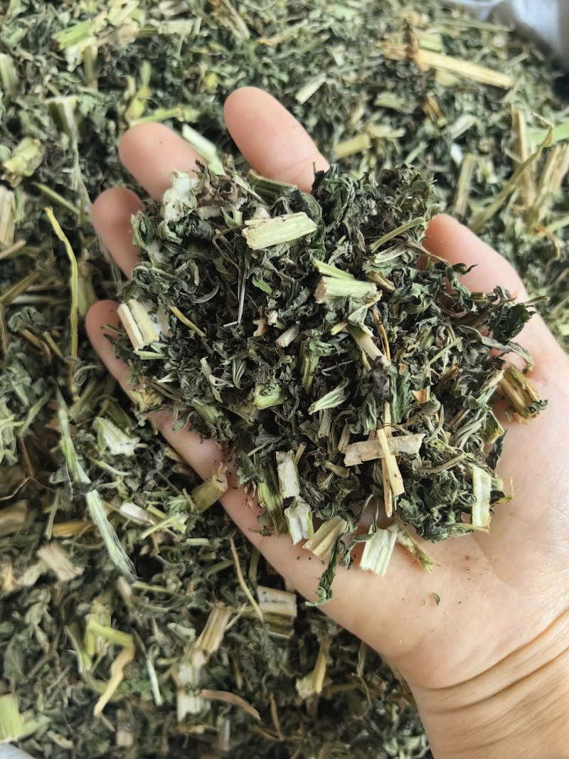 益母草批发新货益母草产地一手货源量大价优货源充足