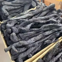 肉苁蓉整根干货