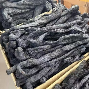 肉苁蓉整根干货