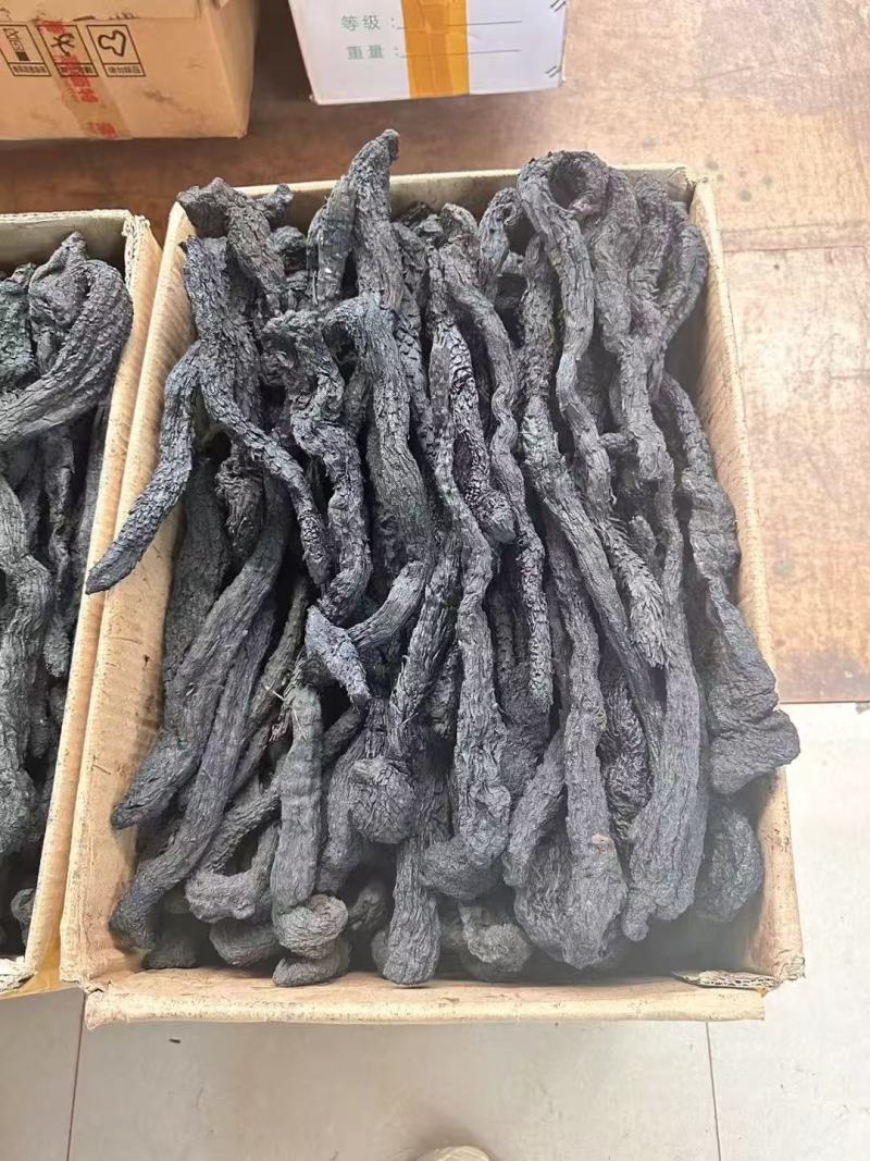 肉苁蓉整根干货