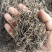 白花蛇舌草批发优质白花蛇舌草货源充足量大价优