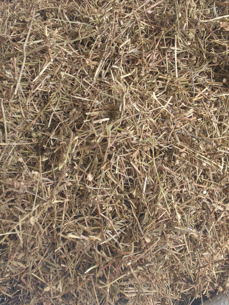 白花蛇舌草批发优质白花蛇舌草货源充足量大价优
