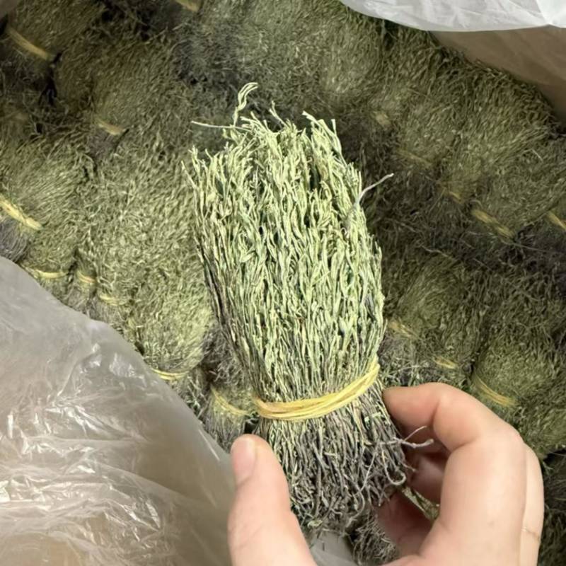 青绿独脚金，－手货源，无包芯