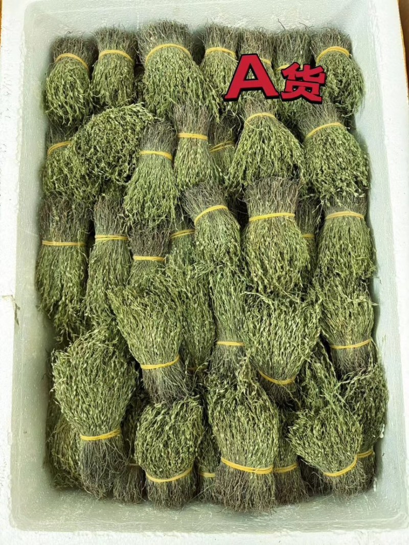 青绿独脚金，－手货源，无包芯