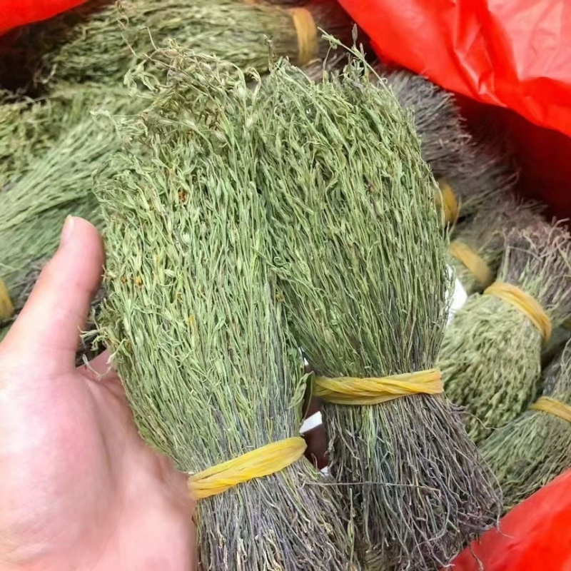 青绿独脚金，－手货源，无包芯