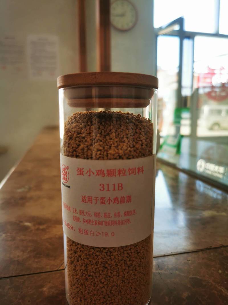 蛋小鸡饲料雏鸡颗粒料311B精选原料品质保证