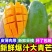 芒果云南鹰嘴芒大青芒苹果芒苔农金黄芒一件代发
