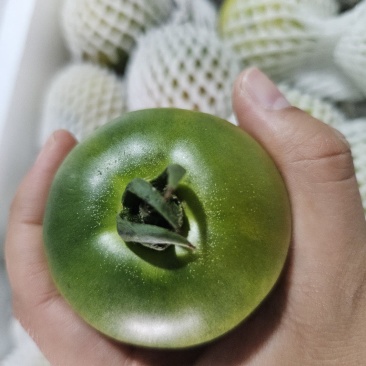 草莓番茄