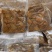 全熟卤猪肠定量装去油干净免洗免切开袋即食