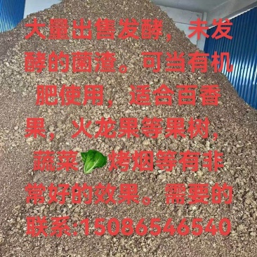 高含量有检测报告的食用菌渣大量出售