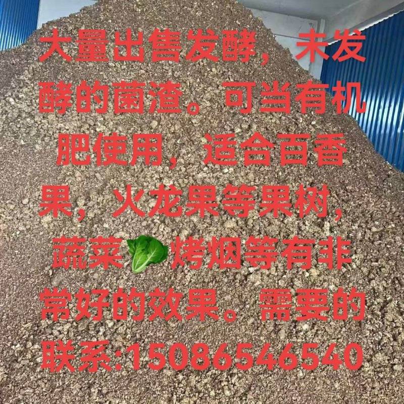 高含量有检测报告的食用菌渣大量出售