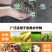 草木灰厂家批发直供植物燃烧农家肥钾肥无杂志有机肥