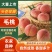 【实力】河南三门峡精品毛桃产地直发品质保障可视频看货
