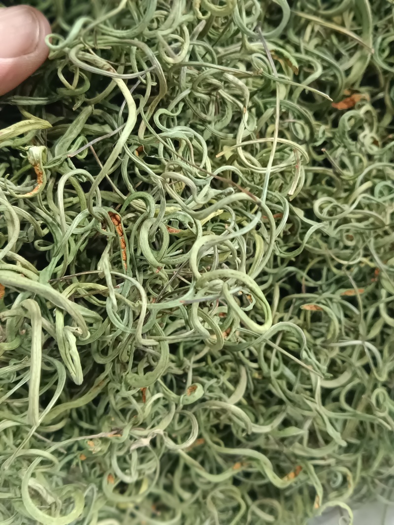 野生肾精草，长在悬崖峭壁上，新鲜干净，原产地发货，大量有