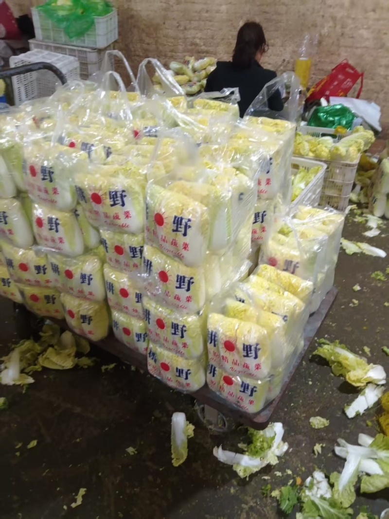 邯郸精品娃娃菜产地直发保质保量大量有货，欢迎订购