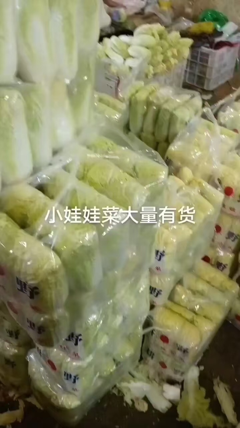 邯郸精品娃娃菜产地直发保质保量大量有货，欢迎订购
